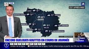 Météo Paris-Ile de France du 14 mars: Quelques pluies pour le week-end