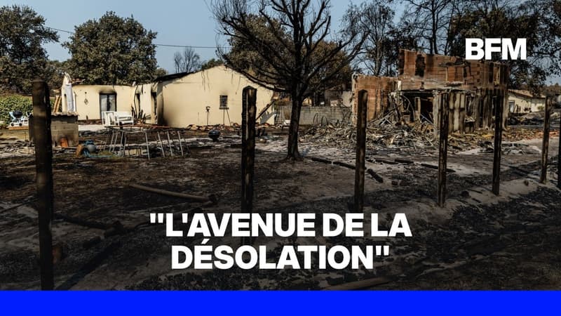 Au Porge, ce sont au moins 185 maisons qui ont été victimes des flammes