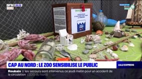 Cap au Nord: le zoo sensibilise le public