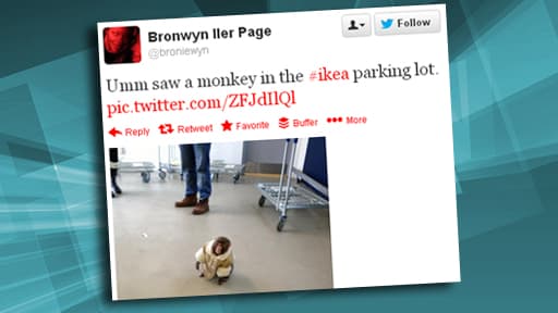 Capture Twitter.com
