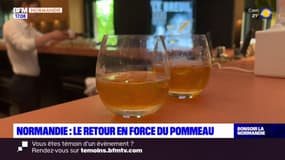 Normandie: le retour en force du Pommeau