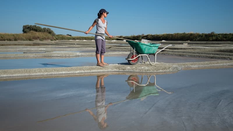 Quelque 12.000 tonnes de sel, encadré par une IGP, sont produites en moyenne par an, dont seulement 5 à 7 % de fleur de sel