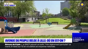Lille: que va devenir l'avenue du Peuple Belge ? 
