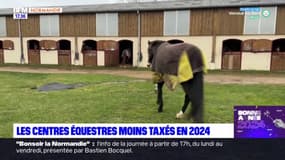 Normandie: les centres équestres moins taxés en 2024