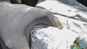 Un paquet de cocaïne saisi en Bolivie en janvier 2015. (Photo d'illustration)