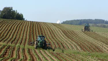 La FNSEA et les Jeunes Agriculteurs souhaitent que le décret Montebourg soit étendu aux terres agricoles.