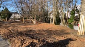 La mairie de Strasbourg investit 165.000 euros dans des travaux anti-camp de réfugiés au square Krimmeri, en janvier 2025.