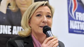 Marine Le Pen le 28 janvier 2014 à Poitiers, lors d'une conférence de presse. L'image de la présidente du FN recueille toujours plus d'opinions favorables.