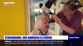 Strasbourg : des animaux dans les EHPAD