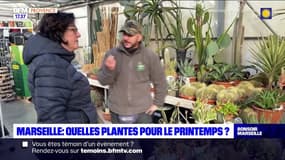 Marseille: les pépiniéristes attendent impatiemment le printemps