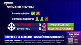 Coupures d'électricité: les 3 scénarios envisagés par RTE pour cet hiver