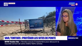 Planète Locale du lundi 4 septembre - Var/Tortues : protéger les sites de ponte