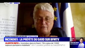 Incendie dans le Gard: "Aucune victime parmi la population" mais "quelques sapeurs-pompiers" légèrement blessés, selon la préfète