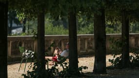 Une personne lit à l'ombre des arbres, au jardin des Tuileries, à Paris, le 19 juin 2025