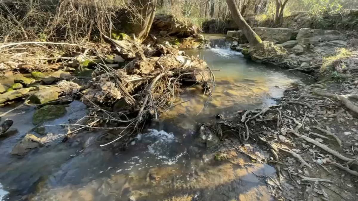 placeholder video