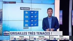 Météo Paris Île-de-France du 15 novembre: Grisailles très tenaces