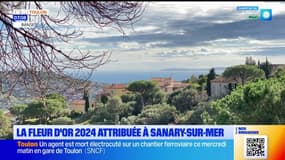 "Fleur d'Or": la ville de Sanary-sur-Mer compte bien remporter une nouvelle fois le label