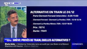 Grève SNCF: quelles sont les alternatives pour les voyageurs?