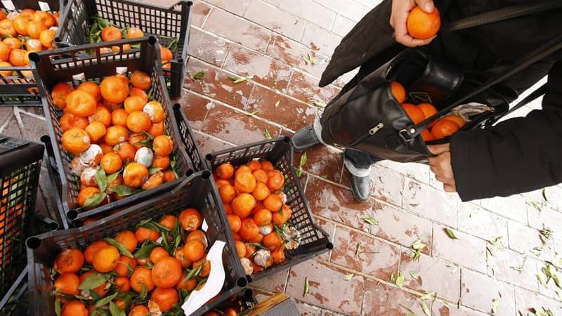 Fruits mis au rebut après un marché, à Nice. Près de la moitié de la nourriture produite chaque année dans le monde est gaspillée à cause de récoltes mal faites, de déficiences dans le stockage et le transport ou de l'irresponsabilité des distributeurs et