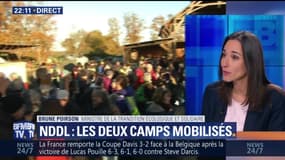 Notre-Dame-des-Landes: les deux camps mobilisés avant le rapport crucial