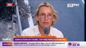 Agriculteurs : Véronique Le Floc'h n'exclut pas un blocus de Rungis 