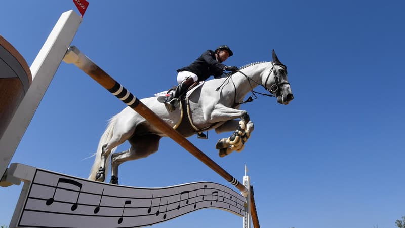 Var: un cheval d'un élevage des Arcs en lice pour participer aux Jeux olympiques