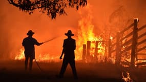 Des résidents défendent leur propriété d'un feu de brousse à Hillsville près de Taree, à 350km du nord de Sydney, le 12 novembre 2019