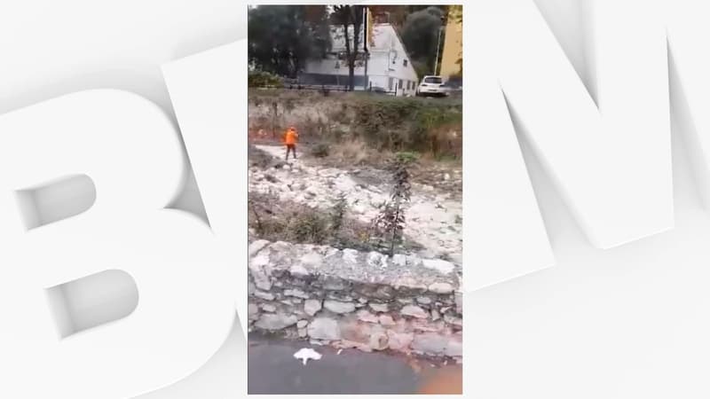Alpes-Maritimes: des sangliers poursuivis par des chasseurs en pleine ville à Saint-André-de-la-Roche