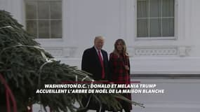 Melania et Donald Trump "accueillent" le sapin de Noël