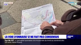 Le tracé de la voie lyonnaise 12 ne fait pas consensus