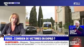 Ehpad: "Environ 60% des établissements sont totalement épargnés" par le coronavirus