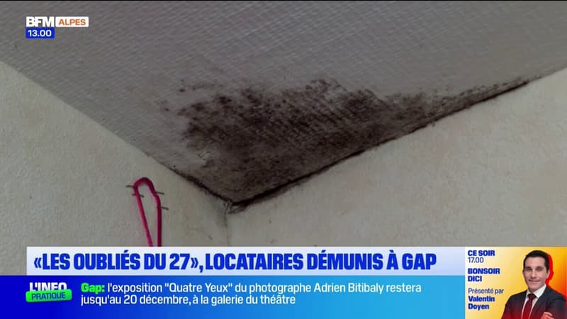 Squatteurs, logements insalubres… des locataires de Gap tentent d'alerter leur bailleur social