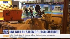 Grosse ambiance la nuit au Salon de l'agriculture