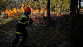 Un pompier lutte contre un incendie dans une forêt de Genille, le 18 juin 2022 en Indre-et-Loire (photo d'illustration)