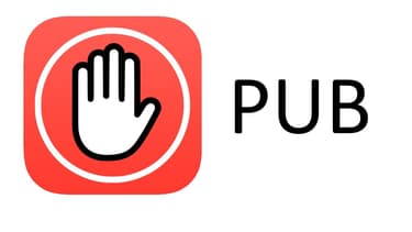 La publicité sur internet a muté pour contourner les logiciels bloqueurs de pub.