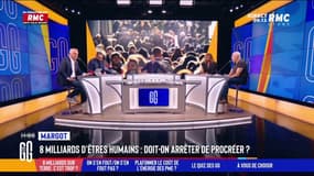 8 milliards d'êtres humains sur la Terre: doit-on arrêter de procréer?