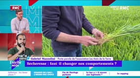 La sécheresse fait déjà son apparition en France : que faire ?