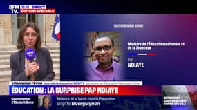 Ministère de l'Éducation nationale: la surprise Pap Ndiaye