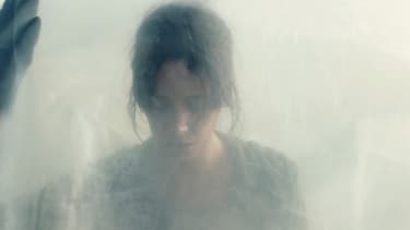 Le film de genre "La Nuée"