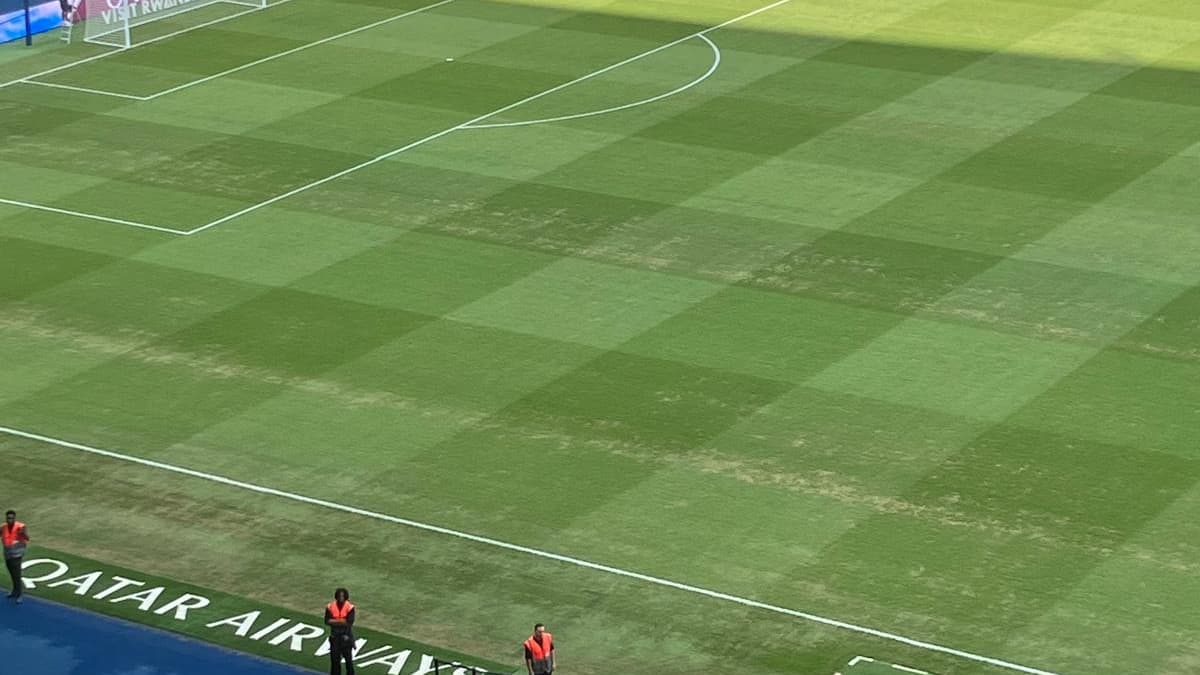 La pelouse du Parc des Princes à quelques heures de PSG-Angers, le 22 août 2025. La pelouse du Parc des Princes à quelques heures de PSG-Angers, le 22 août 2025.