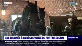 11 novembre: une journée à la découverte du fort de Seclin