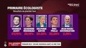 Primaire d'EELV: "Ce parti est une secte!"
