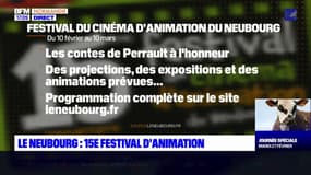 Eure: le 15e festival d'animation du Neubourg se poursuit