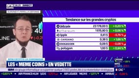 BFM Crypto : Les "meme coins" en vedette - 26/01