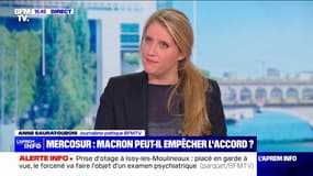 Traité UE-Mercosur: Emmanuel Macron en mission pour réunir une minorité de blocage lors du G-20 en Argentine