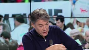 "Les Zadistes ? On devrait leur foutre un coup de pied au cul ! "