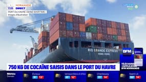 Seine-Maritime: 750 kg de cocaïne saisis au port du Havre