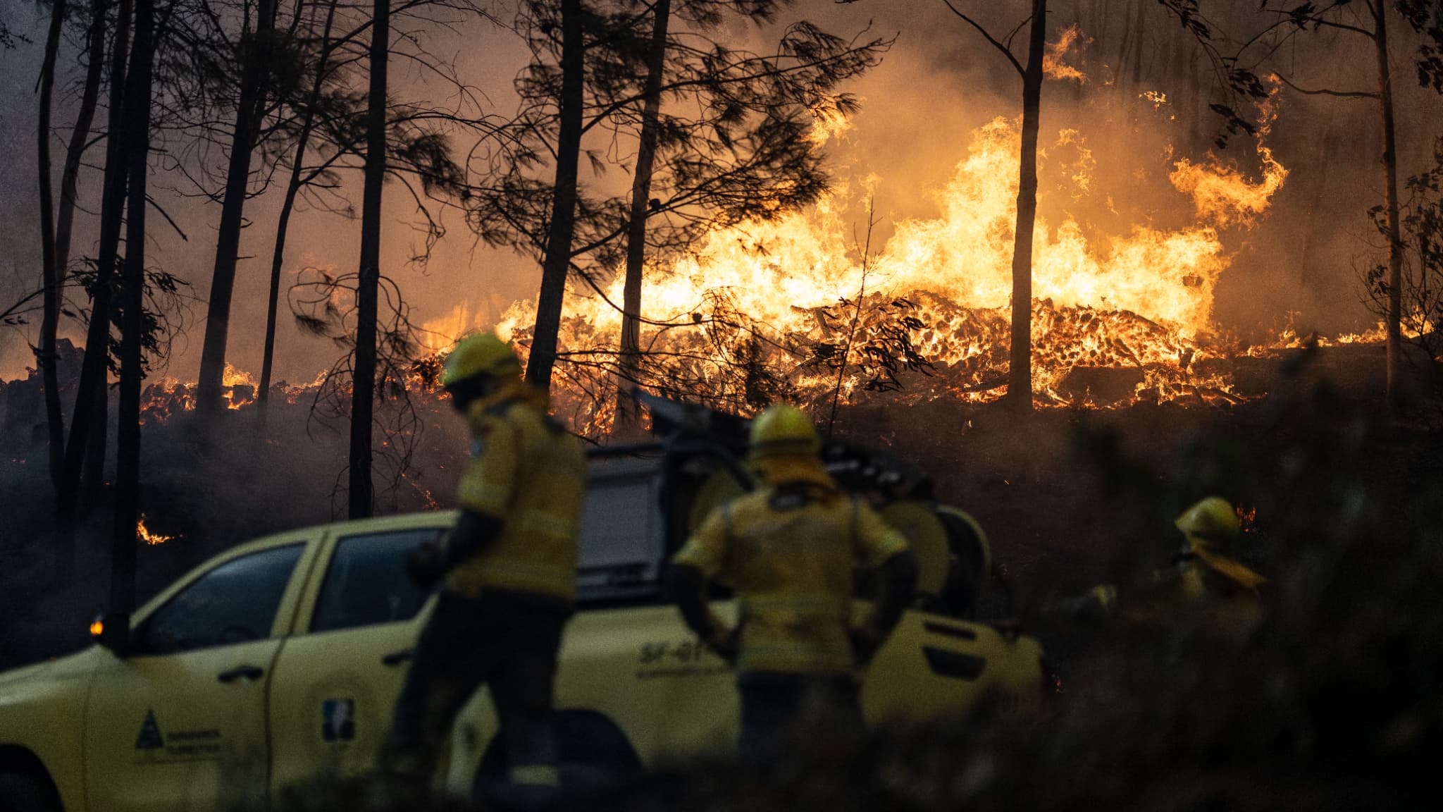 Des pompiers lors d'un incendie de forêt à Ribeira de Fraguas, Albergaria-a-Velha à Aveiro, le 16 septembre 2024. 