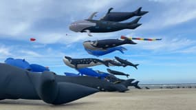 Un record du monde battu le 26 avril 2025 lors des internationales de cerfs-volants à Berck-sur-Mer (Pas-de-Calais).