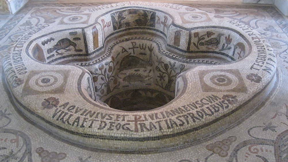 Musée du Bardo. Musée du Bardo.